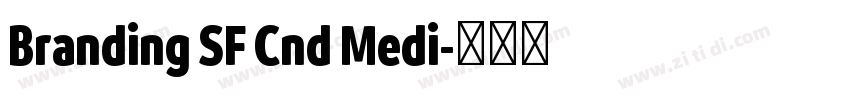 Branding SF Cnd Medi字体转换